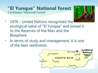 • 1976 - United Nations recognized the
ecological value of “El Yunque” and joined it
to the Reserves of the Man and the
Biosphere
• In terms of study and management, it is one
of the best rainforests.
“El Yunque” National forest
Caribbean National Forest
 