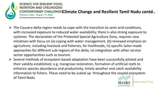 Climate Change and Resilient Tamil Nadu contd..
 The Cauvery delta region needs to cope with the transition to semi-arid conditions,
with increased exposure to reduced water availability; there is also strong exposure to
cyclones. The declaration of the Protected Special Agriculture Zone, requires new
initiatives with focus on (a) coping with water management, (b) renewed emphasis on
agriculture, including livestock and fisheries, for livelihoods, iii) specific tailor-made
approaches for different sub-regions of the delta, iv) integration with other service
sector opportunities such as tourism.
 Several methods of ecosystem-based adaptation have been successfully piloted and
their validity established, e.g. mangrove restoration, formation of artificial reefs to
enhance species abundance and productivity, timely weather and catch availability
information to fishers. These need to be scaled up throughout the coastal ecosystem
of Tamil Nadu
www.mssrf.org
 