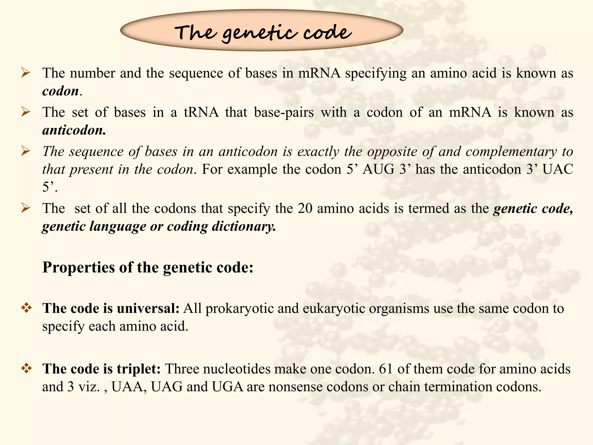 Role of DNA and RNA in Protein Synthesis | PPTX