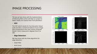 Final Presentation Slides.pptx