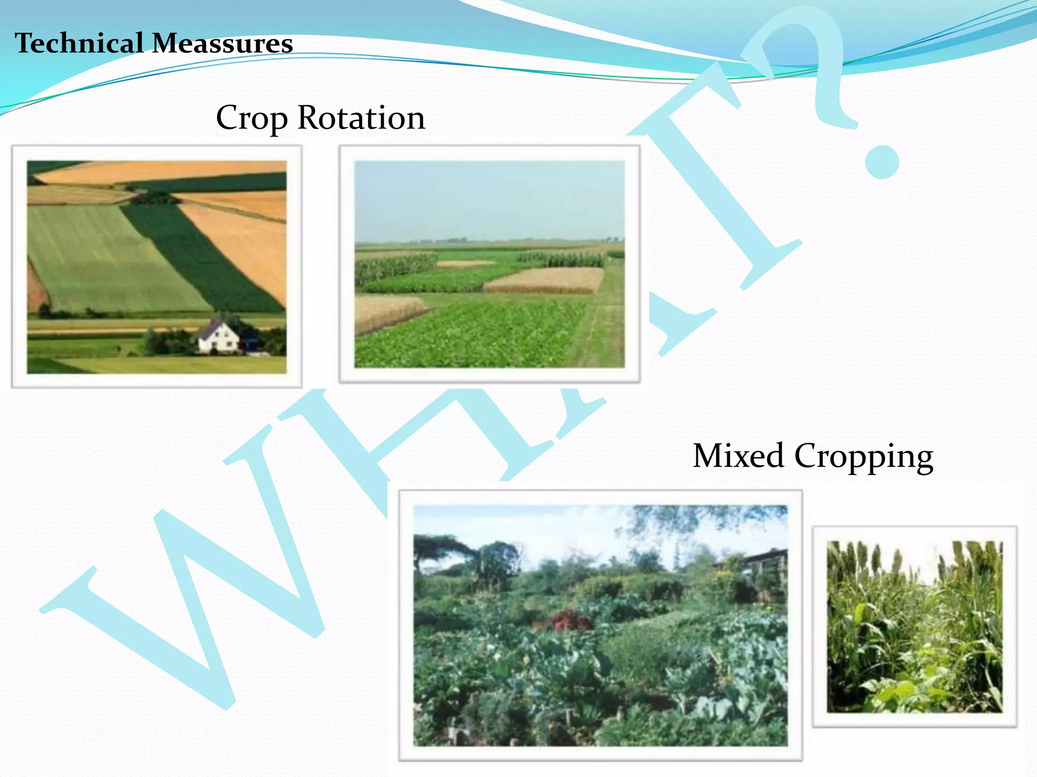 Technical Meassures
Crop Rotation
Mixed Cropping
 