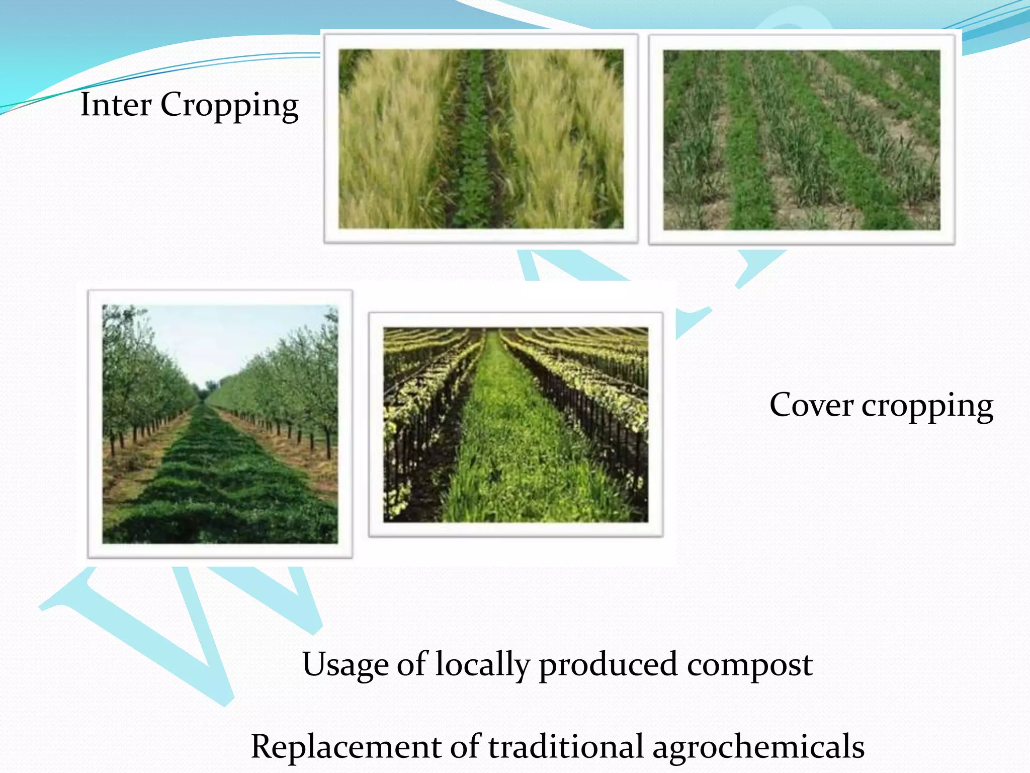 Inter Cropping
Cover cropping
Usage of locally produced compost
Replacement of traditional agrochemicals
 