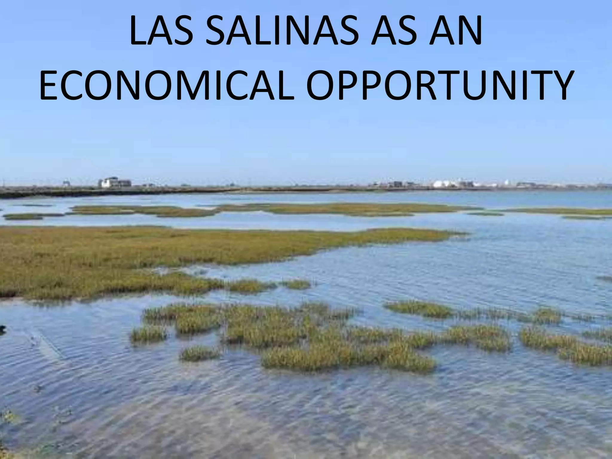 LAS SALINAS AS AN
ECONOMICAL OPPORTUNITY
 