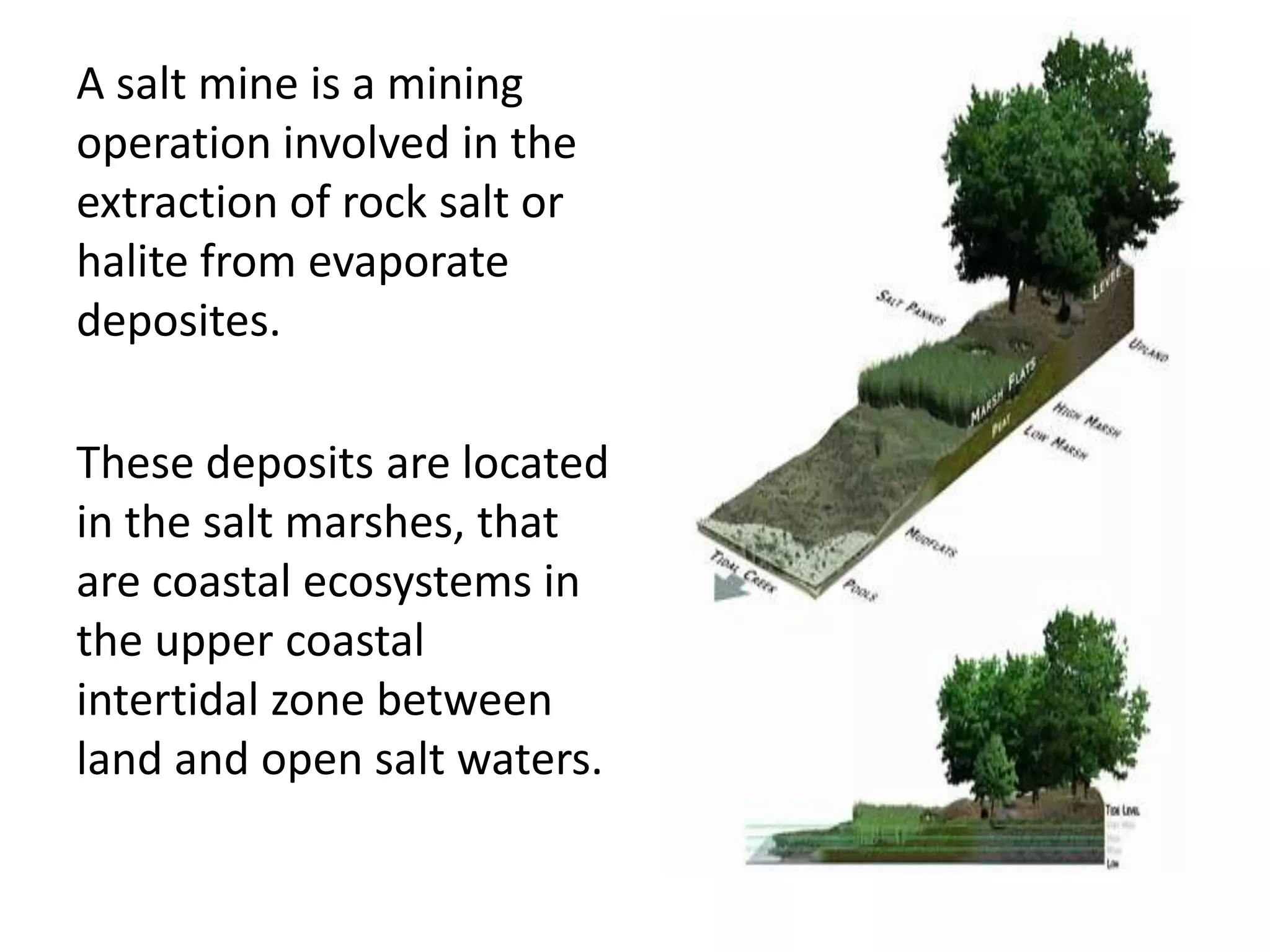 A salt mine is a mining
operation involved in the
extraction of rock salt or
halite from evaporate
deposites.
These deposits are located
in the salt marshes, that
are coastal ecosystems in
the upper coastal
intertidal zone between
land and open salt waters.
 