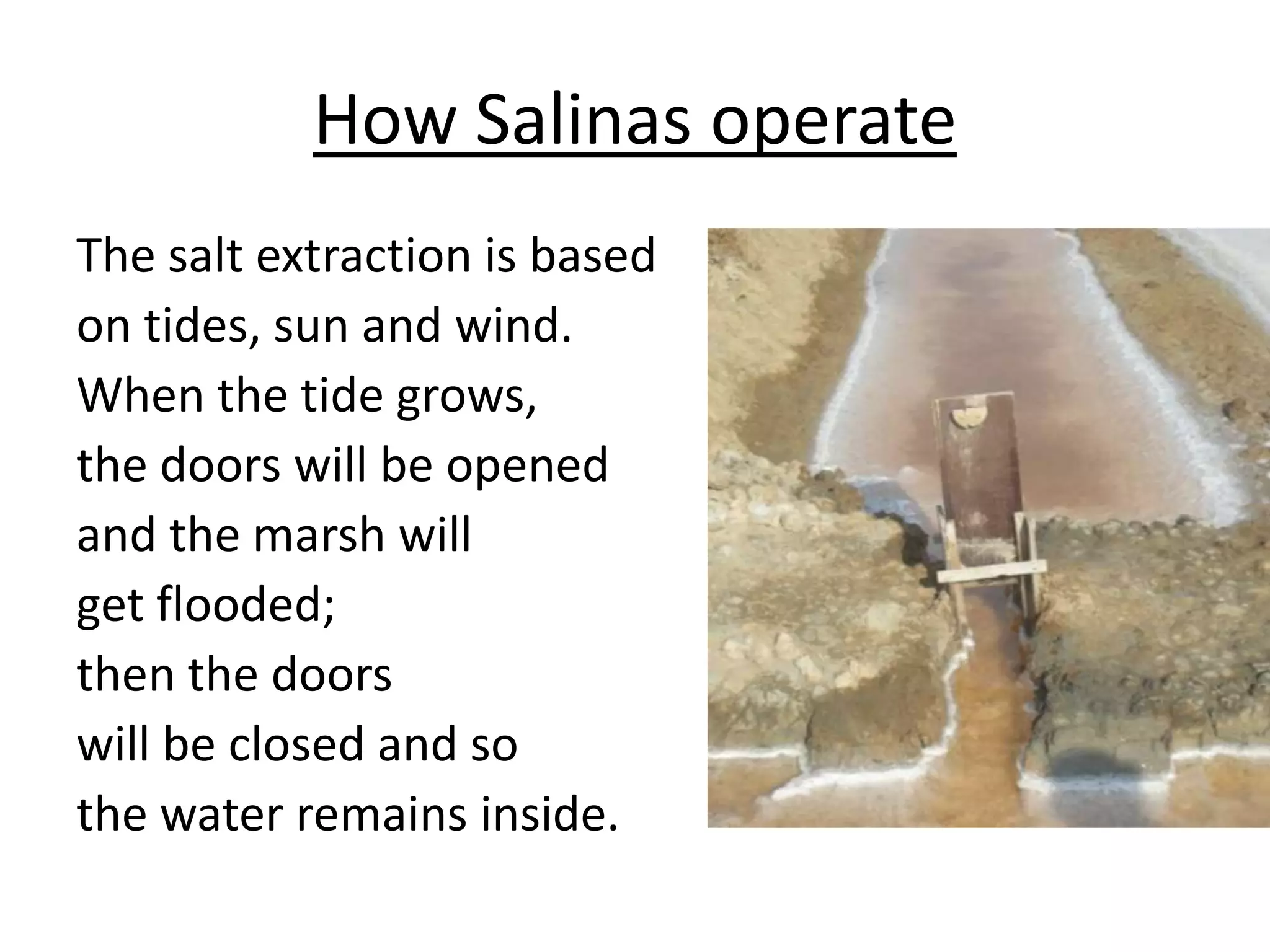 How Salinas operate
The salt extraction is based
on tides, sun and wind.
When the tide grows,
the doors will be opened
and the marsh will
get flooded;
then the doors
will be closed and so
the water remains inside.
 