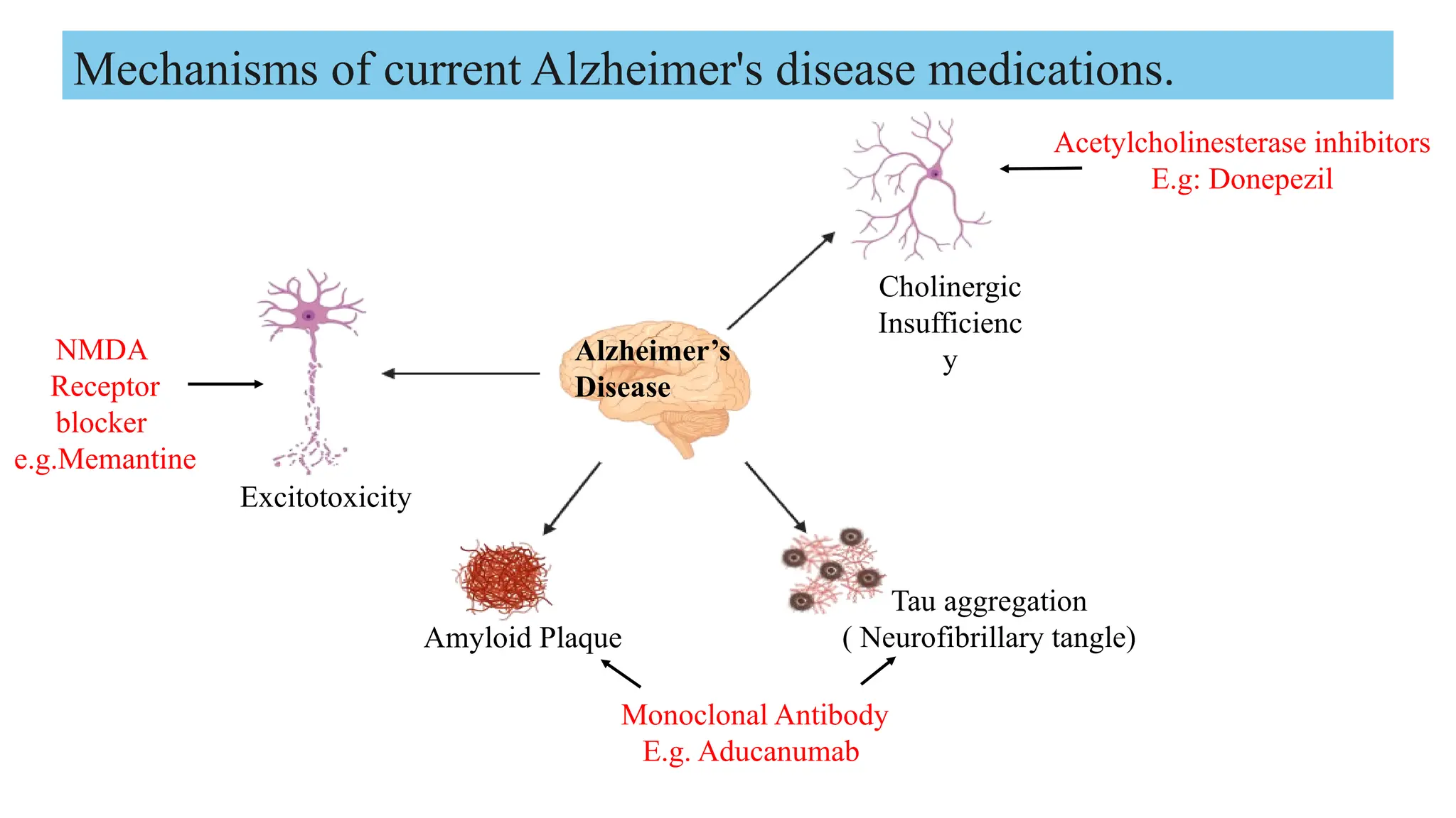 Recent Advances drugs and approaches for the treatment of alzheimers ...