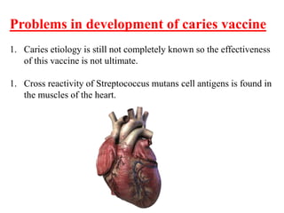 Problems in development of caries vaccine
1. Caries etiology is still not completely known so the effectiveness
of this vaccine is not ultimate.
1. Cross reactivity of Streptococcus mutans cell antigens is found in
the muscles of the heart.
 
