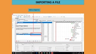 Primavera - Tutorial | PDF