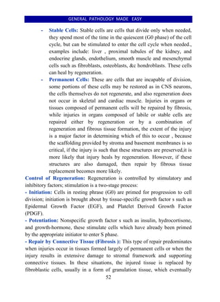 Stable Cells. Examples General Pathology Made Eeasy | PDF