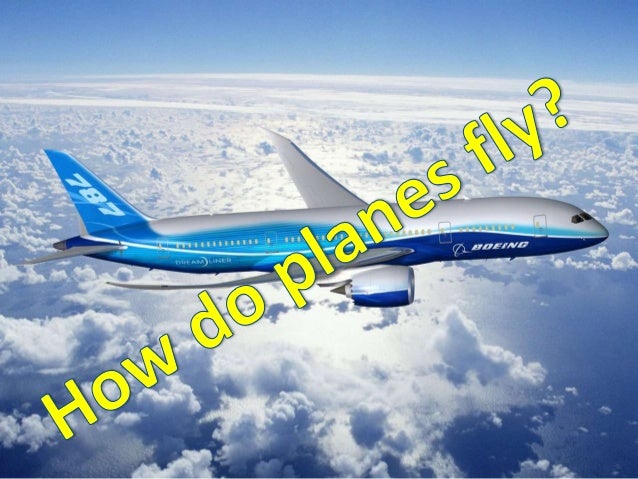 Air transportation is the safest form of transport in theworld.Donkeys kill more people annually than plane crashes.One wi...