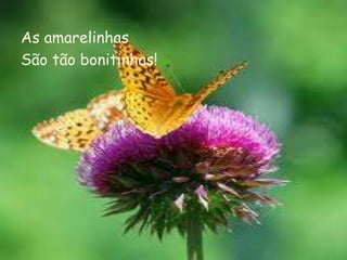As amarelinhas
São tão bonitinhas!
 
