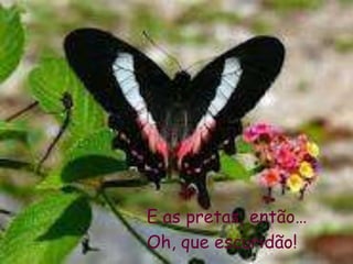 E as pretas, então…
Oh, que escuridão!
 