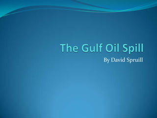 The Gulf Oil Spill By David Spruill 