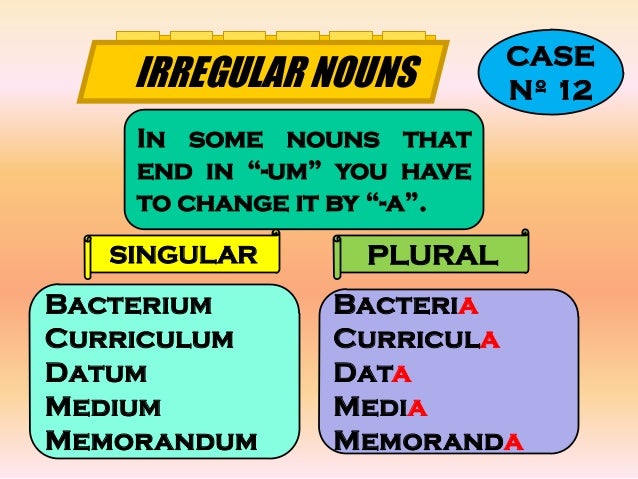plural noun forms in english what is the plural form of curriculum