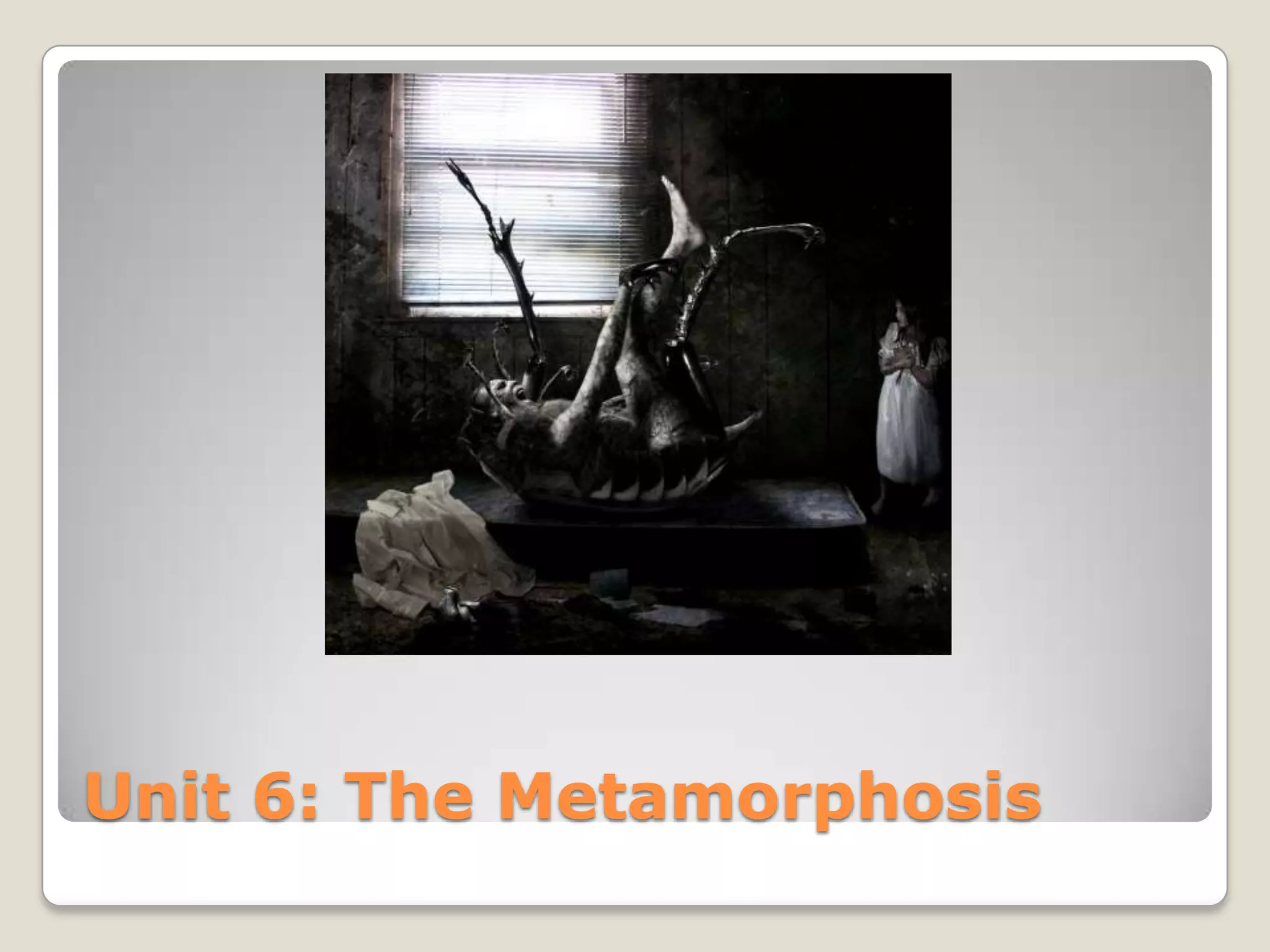 Unit 6: The Metamorphosis
 