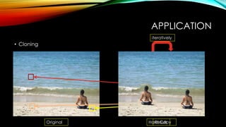 APPLICATION
• Cloning
Original Hard CopyResult
iteratively
 