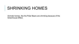 SHRINKING HOMES
Animals homes, like the Polar Bears are shrinking because of the
Greenhouse Effect.

 