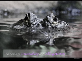 The home of Humidity and Alligators
https://ﬂic.kr/p/bPTn2p
 