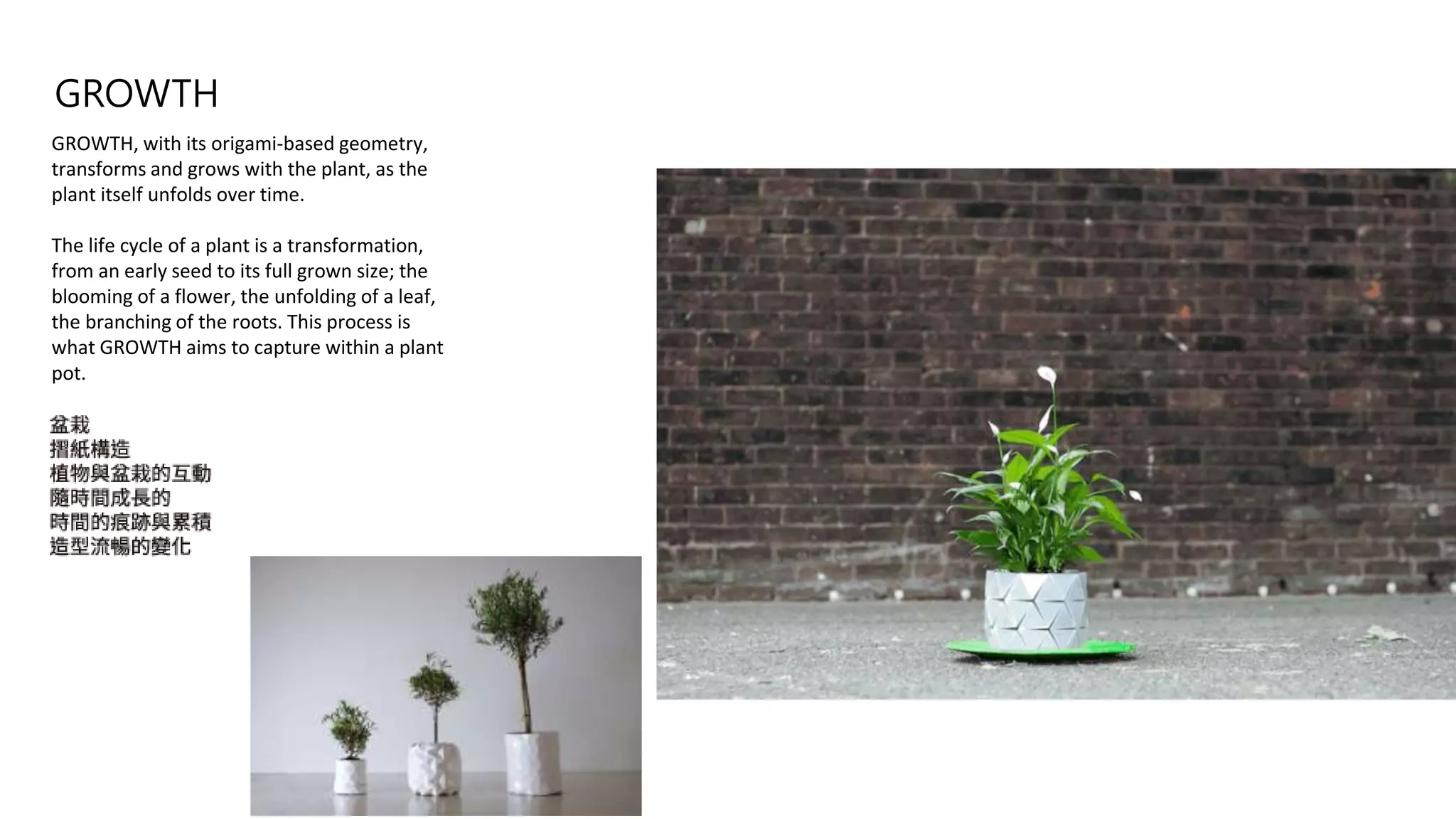 GROWTH
GROWTH, with its origami-based geometry,
transforms and grows with the plant, as the
plant itself unfolds over time.
The life cycle of a plant is a transformation,
from an early seed to its full grown size; the
blooming of a flower, the unfolding of a leaf,
the branching of the roots. This process is
what GROWTH aims to capture within a plant
pot.
 