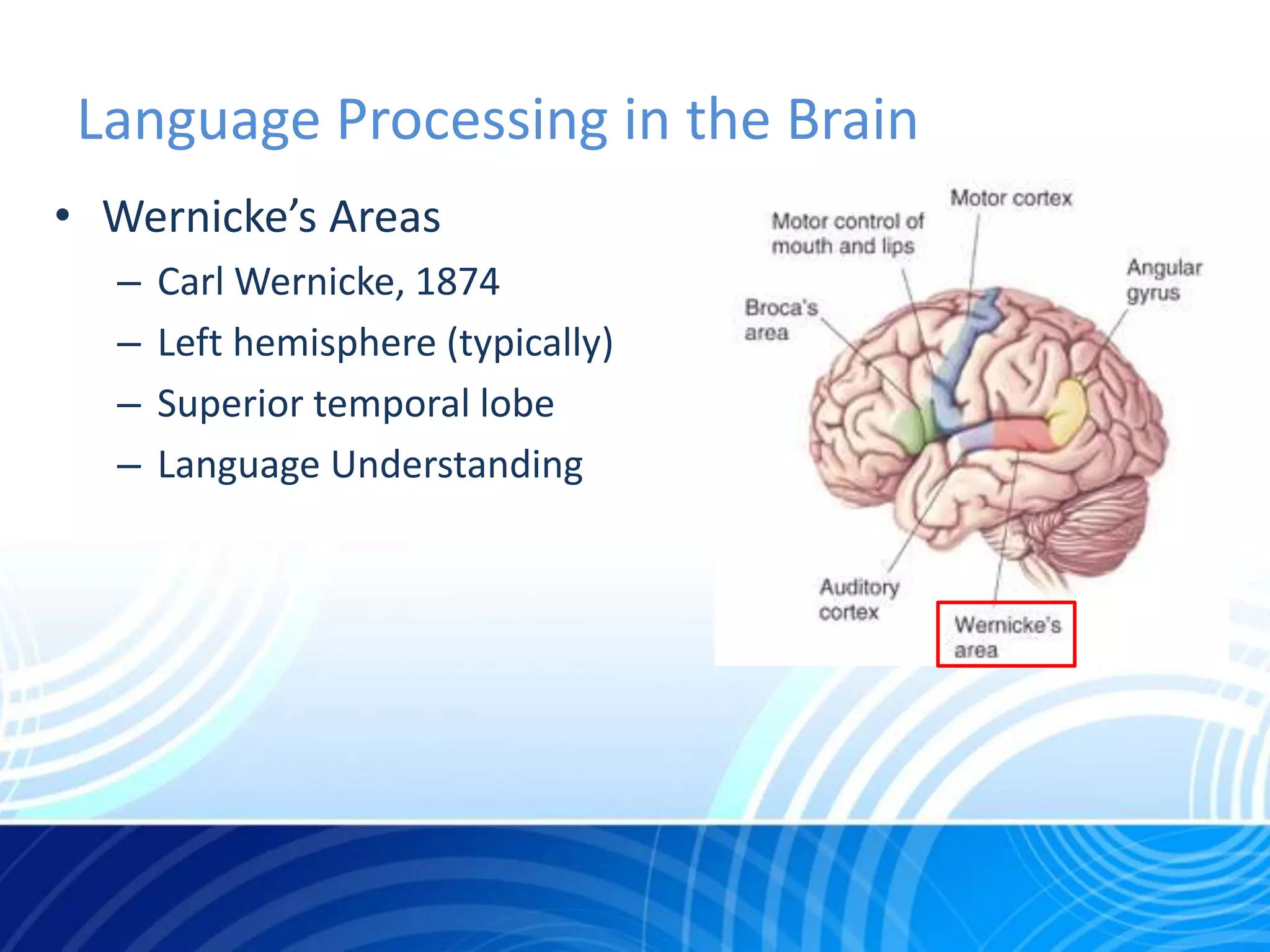 Neurobiology - Final Project | PPTX