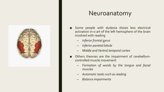 Neuroanatomy
■ Some people with dyslexia shows less electrical
activation in-o art of the left hemisphere of the brain
involved with reading
– Inferior frontal gyrus
– Inferior parietal lobule
– Middle andVentral temporal cortex
■ Others theories are the impairment of cerebellum-
controlled muscle movement
– Formation of words by the tongue and facial
muscles
– Automatic tasks such as reading
– Balance impairments
 