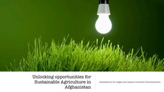 Unlocking opportunities for
Sustainable Agriculture in
Afghanistan
Assistance for legal and peace-oriented development
 