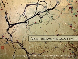 ABOUT DREAMS AND SLEEPY FACTS
“Understanding the Brain: The Neurobiology of Every Day Life” | Final project
 