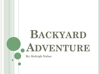 BACKYARD
ADVENTURE
By: Kaleigh Nolan
 