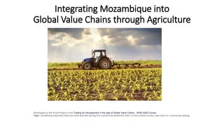 Integrating Mozambique into
Global Value Chains through Agriculture
Developed as the Final Project in the Trading for Development in the Age of Global Value Chains - WDR 2020 Course
Topic: Something important that you have learned during this course that examines GVCs in the context of your own work or community setting.
 