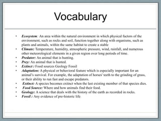 Vocabulary
•   Ecosystem: An area within the natural environment in which physical factors of the
    environment, such as rocks and soil, function together along with organisms, such as
    plants and animals, within the same habitat to create a stable
•   Climate: Temperature, humidity, atmospheric pressure, wind, rainfall, and numerous
    other meteorological elements in a given region over long periods of time.
•   Predator: An animal that is hunting.
•   Prey: An animal that is hunted.
•   Extinct : Food sources Geology Fossil
•   Adaptation: A physical or behavioral feature which is especially important for an
    animal’s survival. For example, the adaptation of horses' teeth to the grinding of grass,
    or their ability to run fast and escape predators.
•    Extinct: A species becomes extinct when the last existing member of that species dies.
•    Food Source: Where and how animals find their food.
•   Geology: A science that deals with the history of the earth as recorded in rocks.
•   Fossil : Any evidence of pre‐historic life.
 
