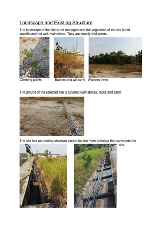 Landscape and Existing Structure
The landscape of the site is not managed and the vegetation of the site is not
specific and not well-maintained. They are mainly wild plants.
Climbing plants Bushes and wilt turfs Wooden trees
The ground of the selected site is covered with stones, rocks and sand.
The site has no existing structure except for the main drainage that surrounds the
site.
 