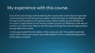 Final project neurobiology2