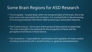 Final project neurobiology2