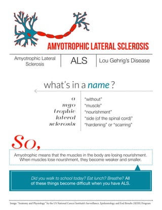 Amyotrophic Lateral Sclerosis
Amyotrophic Lateral
Sclerosis

ALS

Lou Gehrig’s Disease

what’s in a name ?
a
myo
trophic
lateral
sclerosis

“without”
“muscle”
“nourishment”
“side (of the spinal cord)”
“hardening” or “scarring”

So,

Amyotrophic means that the muscles in the body are losing nourishment.
When muscles lose nourshment, they become weaker and smaller.

Did you walk to school today? Eat lunch? Breathe? All
of these things become difficult when you have ALS.

Image: “Anatomy and Physiology” by the US National Cancer Institute’s Surveillance, Epidemiology and End Results (SEER) Program

 