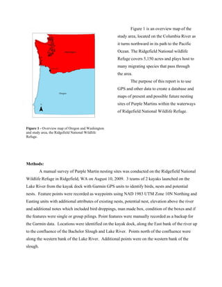 Figure 1 is an overview map of the
                                                       study area, located on the Columbia River as
                                                       it turns northward in its path to the Pacific
                                                       Ocean. The Ridgefield National wildlife
                                                       Refuge covers 5,150 acres and plays host to
                                                       many migrating species that pass through
                                                       the area.
                                                               The purpose of this report is to use
                                                       GPS and other data to create a database and
                                                       maps of present and possible future nesting
                                                       sites of Purple Martins within the waterways
                                                       of Ridgefield National Wildlife Refuge.


Figure 1 - Overview map of Oregon and Washington
and study area, the Ridgefield National Wildlife
Refuge.




Methods:
          A manual survey of Purple Martin nesting sites was conducted on the Ridgefield National
Wildlife Refuge in Ridgefield, WA on August 10, 2009. 3 teams of 2 kayaks launched on the
Lake River from the kayak dock with Garmin GPS units to identify birds, nests and potential
nests. Feature points were recorded as waypoints using NAD 1983 UTM Zone 10N Northing and
Easting units with additional attributes of existing nests, potential nest, elevation above the river
and additional notes which included bird droppings, man made box, condition of the boxes and if
the features were single or group pilings. Point features were manually recorded as a backup for
the Garmin data. Locations were identified on the kayak dock, along the East bank of the river up
to the confluence of the Bachelor Slough and Lake River. Points north of the confluence were
along the western bank of the Lake River. Additional points were on the western bank of the
slough.
 