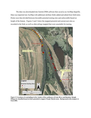 The data was downloaded into Garmin DNR software then saved as an ArcMap shapefile.
Data was imported into ArcMap with additional attribute fields added and edited from field notes.
Points were then divided between favorable potential nesting sites and unfavorable based on
height of the feature. Figures 2 and 3 show the mapped potential and current nest sites as
recorded in the field, as well as other pilings mapped that were unsuitable for nesting.




Figure 2: Locations of wood pilings in the vicinity of the confluence of Lake River and Bachelor Slough.
Pilings are classified based on their potential to support Purple Martin nests. Background ortho imagery is
from 2006.
 