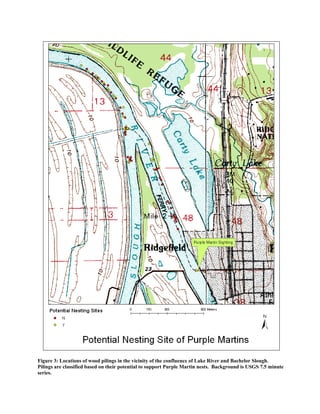 Figure 3: Locations of wood pilings in the vicinity of the confluence of Lake River and Bachelor Slough.
Pilings are classified based on their potential to support Purple Martin nests. Background is USGS 7.5 minute
series.
 