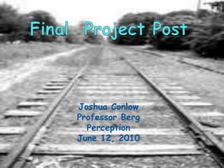 Final  Project Post Joshua Conlow Professor Berg Perception June 12, 2010 