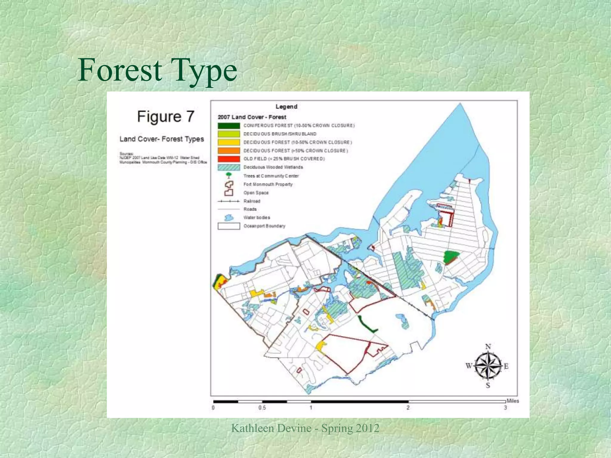 Kathleen Devine - Spring 2012
Forest Type
 