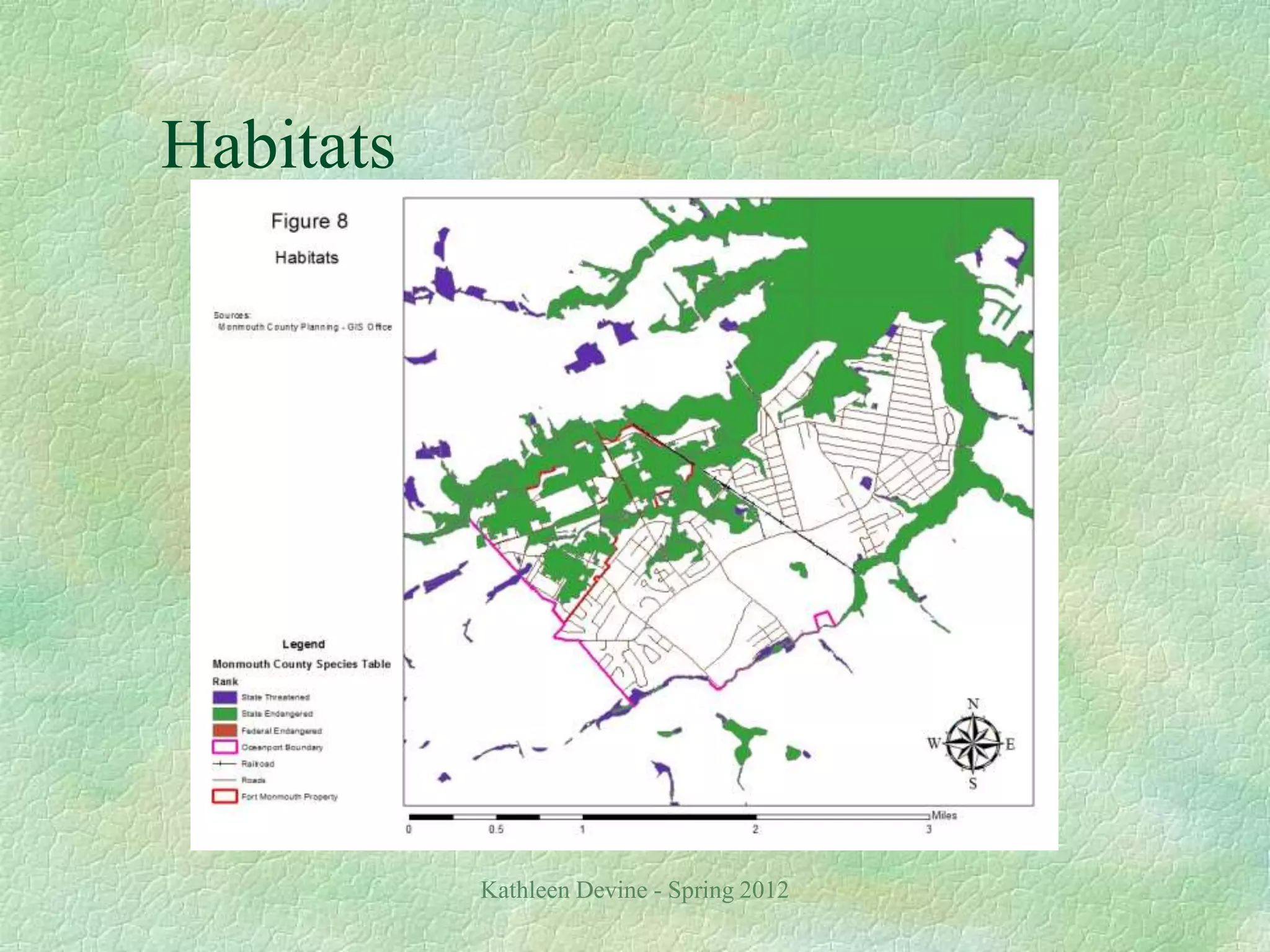 Kathleen Devine - Spring 2012
Habitats
 