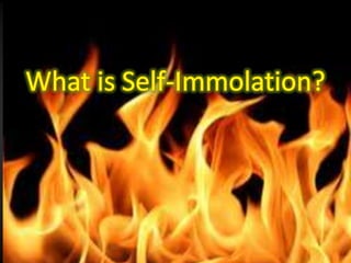 Доклад по теме Immolation