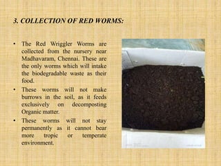 3. COLLECTION OF RED WORMS:
• The Red Wriggler Worms are
collected from the nursery near
Madhavaram, Chennai. These are
the only worms which will intake
the biodegradable waste as their
food.
• These worms will not make
burrows in the soil, as it feeds
exclusively on decomposting
Organic matter.
• These worms will not stay
permanently as it cannot bear
more tropic or temperate
environment.
 