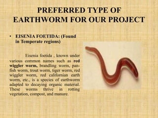 PREFERRED TYPE OF
EARTHWORM FOR OUR PROJECT
• EISENIA FOETIDA: (Found
in Temperate regions)
Eisenia foetida , known under
various common names such as red
wiggler worm, brandling worm, pan-
fish worm, trout worm, tiger worm, red
wiggler worm, red californian earth
worm, etc., is a species of earthworm
adapted to decaying organic material.
These worms thrive in rotting
vegetation, compost, and manure.
 
