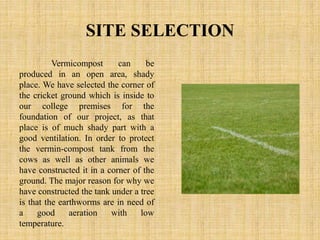 SITE SELECTION
Vermicompost can be
produced in an open area, shady
place. We have selected the corner of
the cricket ground which is inside to
our college premises for the
foundation of our project, as that
place is of much shady part with a
good ventilation. In order to protect
the vermin-compost tank from the
cows as well as other animals we
have constructed it in a corner of the
ground. The major reason for why we
have constructed the tank under a tree
is that the earthworms are in need of
a good aeration with low
temperature.
 