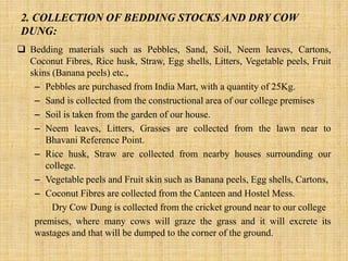 2. COLLECTION OF BEDDING STOCKS AND DRY COW
DUNG:
 Bedding materials such as Pebbles, Sand, Soil, Neem leaves, Cartons,
Coconut Fibres, Rice husk, Straw, Egg shells, Litters, Vegetable peels, Fruit
skins (Banana peels) etc.,
– Pebbles are purchased from India Mart, with a quantity of 25Kg.
– Sand is collected from the constructional area of our college premises
– Soil is taken from the garden of our house.
– Neem leaves, Litters, Grasses are collected from the lawn near to
Bhavani Reference Point.
– Rice husk, Straw are collected from nearby houses surrounding our
college.
– Vegetable peels and Fruit skin such as Banana peels, Egg shells, Cartons,
– Coconut Fibres are collected from the Canteen and Hostel Mess.
Dry Cow Dung is collected from the cricket ground near to our college
premises, where many cows will graze the grass and it will excrete its
wastages and that will be dumped to the corner of the ground.
 