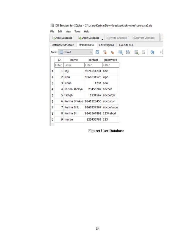 Final project report pdf