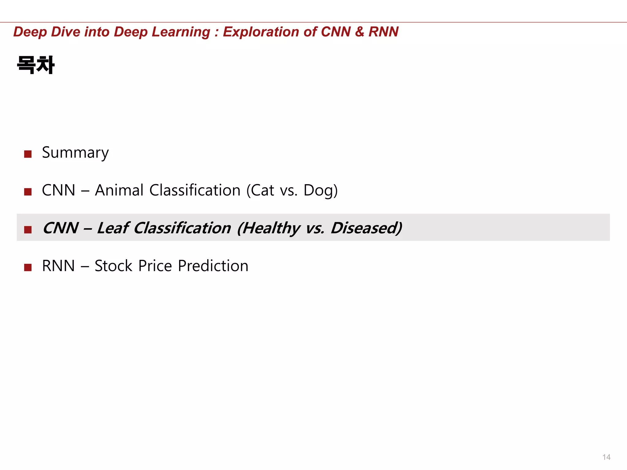 14
Deep Dive into Deep Learning : Exploration of CNN & RNN
목차
■ Summary
■ CNN – Animal Classification (Cat vs. Dog)
■ CNN – Leaf Classification (Healthy vs. Diseased)
■ RNN – Stock Price Prediction
 