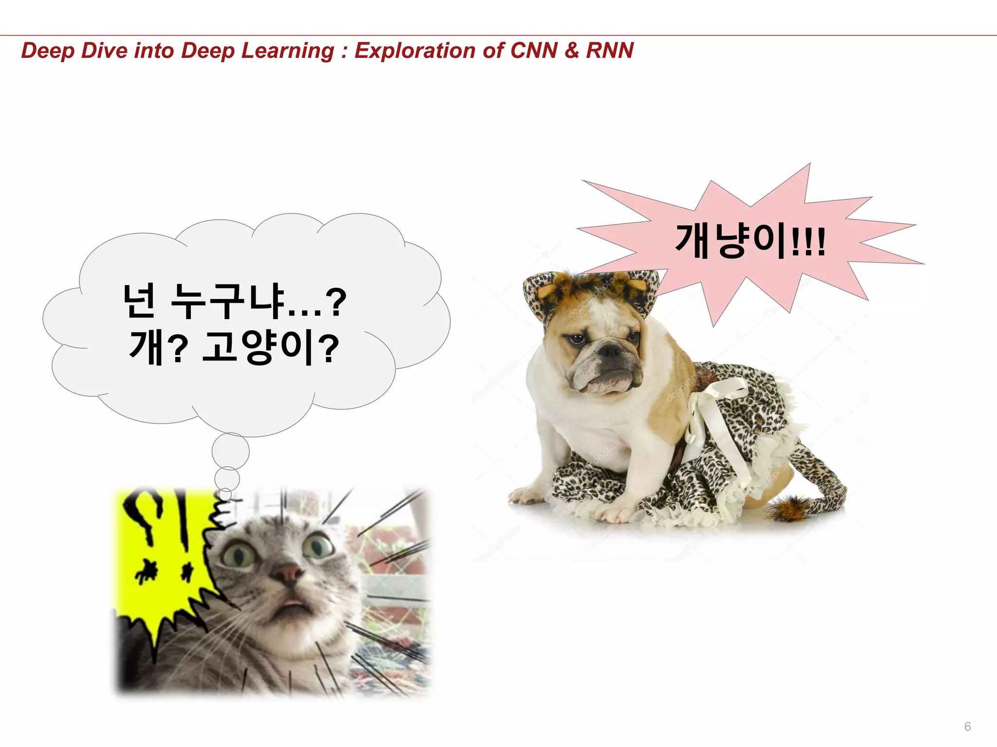 6
Deep Dive into Deep Learning : Exploration of CNN & RNN
넌 누구냐…?
개? 고양이?
개냥이!!!
 
