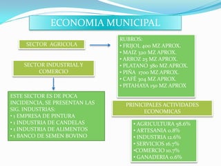 ECONOMIA MUNICIPAL
                               RUBROS:
     SECTOR AGRICOLA           • FRIJOL 400 MZ APROX.
                               • MAIZ 320 MZ APROX.
                               • ARROZ 25 MZ APROX.
    SECTOR INDUSTRIAL Y        • PLATANO 380 MZ APROX.
        COMERCIO               • PIÑA 1700 MZ APROX.
                               • CAFÉ 304 MZ APROX.
                               • PITAHAYA 150 MZ APROX
ESTE SECTOR ES DE POCA
INCIDENCIA, SE PRESENTAN LAS     PRINICIPALES ACTIVIDADES
SIG. INDUSTRIAS:                       ECONOMICAS
• 1 EMPRESA DE PINTURA
• 1 INDUSTRIA DE CANDELAS          • AGRICULTURA 58.6%
• 1 INDUSTRIA DE ALIMENTOS         • ARTESANIA 0.8%
• 1 BANCO DE SEMEN BOVINO          • INDUSTRIA 12.6%
                                   • SERVICIOS 16.7%
                                   •COMERCIO 10.7%
                                   • GANADERIA 0.6%
 