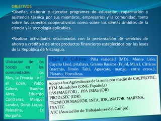 OBJETIVOS
   •Diseñar, elaborar y ejecutar programas de educación, capacitación y
   asistencia técnica por sus miembros, empresarios y la comunidad, tanto
   sobre los aspectos cooperativistas como sobre los demás ámbitos de la
   ciencia y la tecnología aplicables.

   •Realizar actividades relacionadas con la presentación de servicios de
   ahorro y crédito y de otros productos financieros establecidos por las leyes
   de la República de Nicaragua.

                           Tipos de Cultivos: Piña variedad (MD2, Monte Lirio,
Ubicación de los
                           Cayena Lisa), pitahaya, Granos Básicos (Frijol, Maíz), Cítricos
Socios      en      las    (naranja, limón Taití, Aguacate, mango, entre otros.),
comunidades:        los    Plátano, Hortalizas.
Ríos, la Francia I y II,
el     Edén,    Pablo
Calero,        Buenos
Aires,       Eduardo
Contreras, Manuel
Landez, Denis Larios,
Palestina,           La
Borgoña.
 